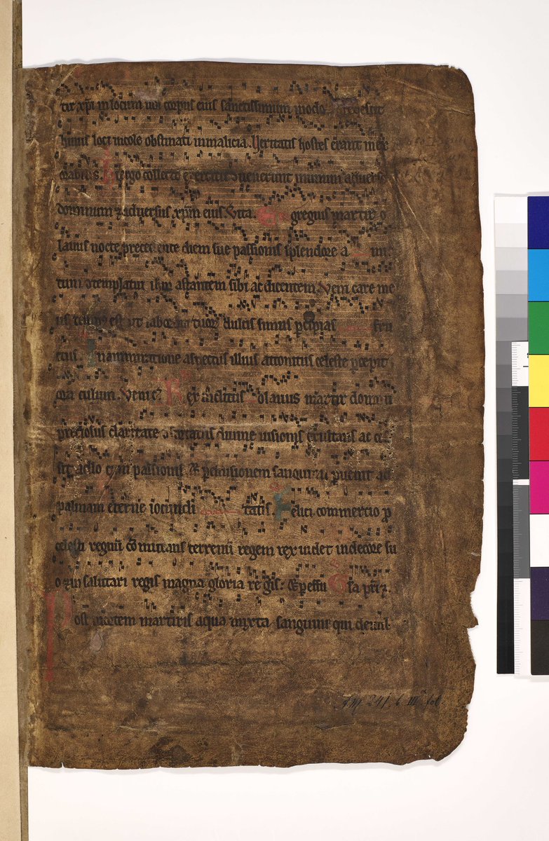 I identified this fragment (AM 241 III α fol) this morning: a fragment of the ‘In Natalicio Sancti Olaui Regis et Martyris’ beginning with the (partial) response for the seventh lesson at first vespers. Best feeling ever!