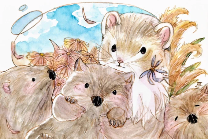 ウォンバットの日! #世界ウォンバットの日 #worldwombatday #ふる絵