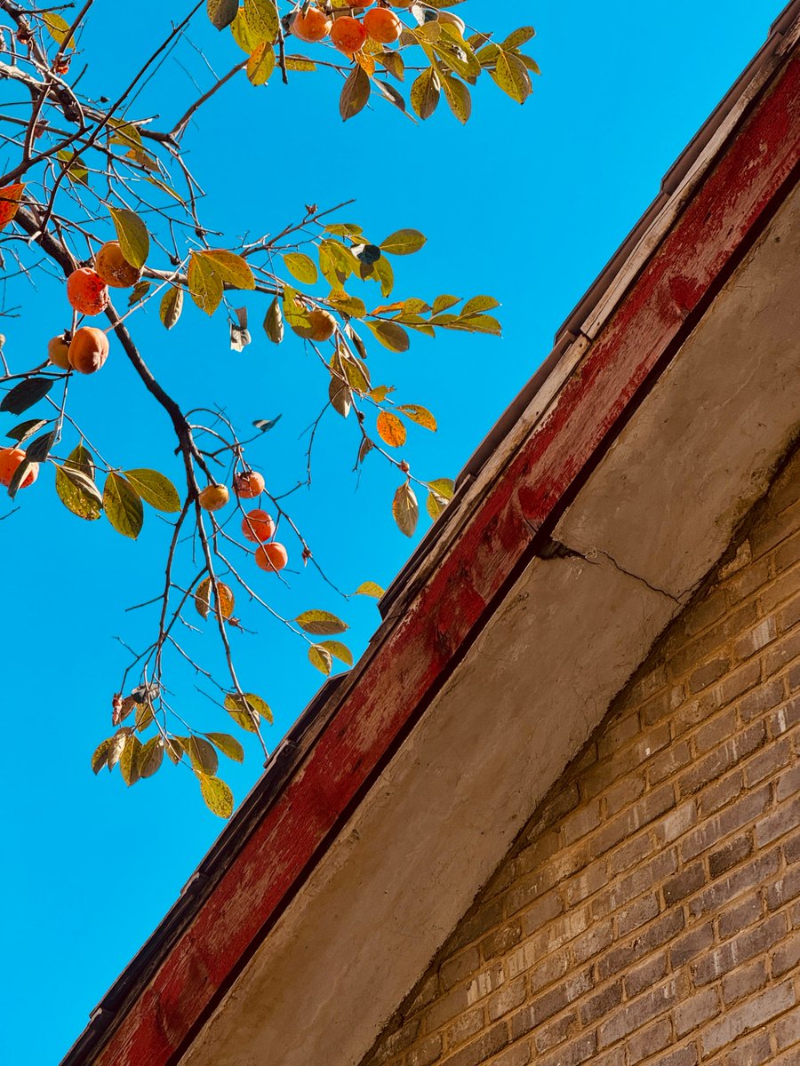 Lisheng Chang tweet media