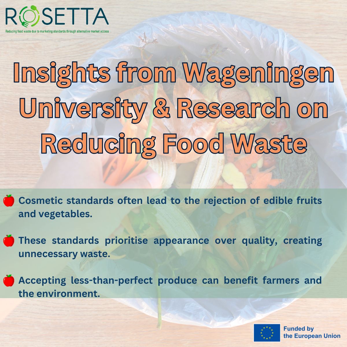 𝗥𝗲𝘁𝗵𝗶𝗻𝗸𝗶𝗻𝗴 𝗖𝗼𝘀𝗺𝗲𝘁𝗶𝗰 𝗦𝘁𝗮𝗻𝗱𝗮𝗿𝗱𝘀 𝘁𝗼 𝗖𝗼𝗺𝗯𝗮𝘁 𝗙𝗼𝗼𝗱 𝗪𝗮𝘀𝘁𝗲 🍽️
🔗 Find out more here:
rosetta-project.eu/rethinking-cos…