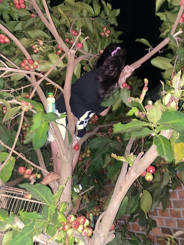 "Dek, tangkepin ya nanti jambunya!"