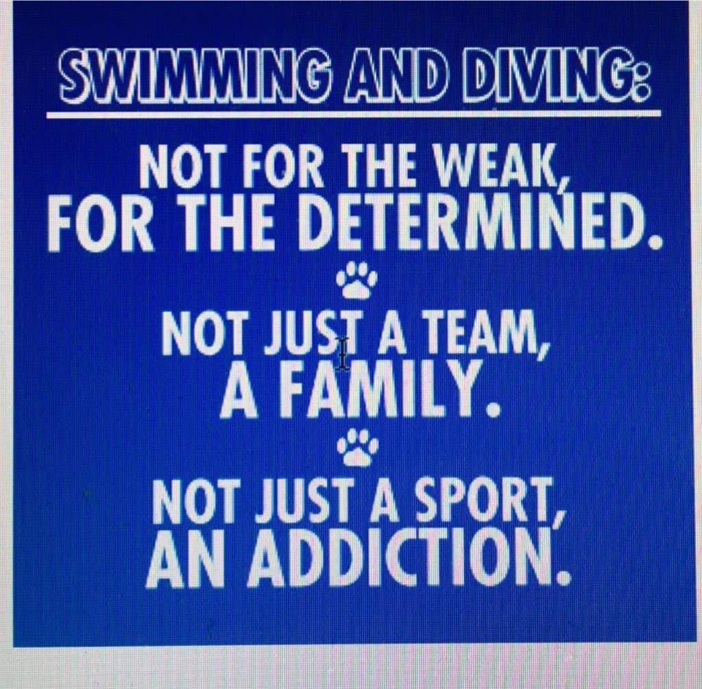 VASJSwimming's tweet photo. T-Minus 3… https://t.co/FA4zQahszv