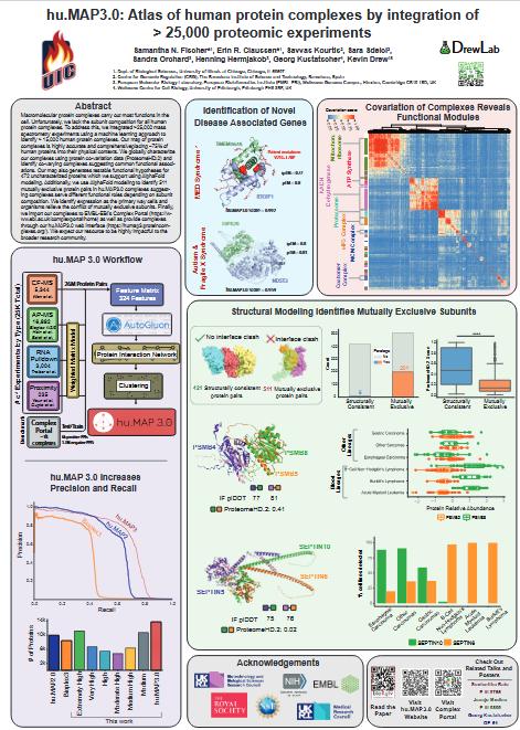 Hu.MAP3.0 released at #hupo2024, for details visit the posters on Wednesday. First learn about the data selection and machine learning algorithms P-III-0879...