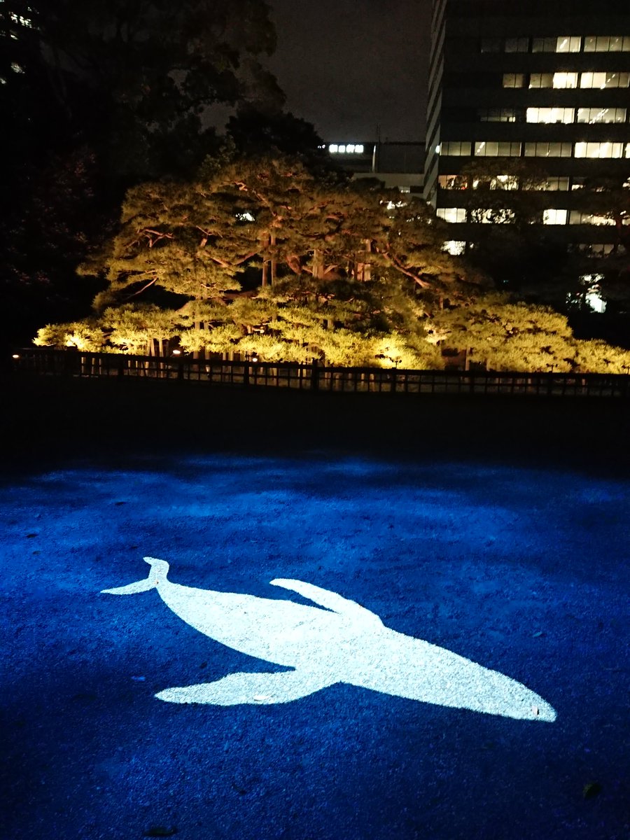 mysterysnack1's tweet photo. 投影されたクジラと三百年の松を一緒に撮ろうとすると、朝日新聞社名と社旗が煌々と見えるのなんとかならんのだろうか。
視界にはいらないように近づいたらクジラがうまくおさまらないし…。
特別史跡・特別名勝の浜離宮恩賜庭園の間近でこんなのは朝日だけと思う。
#SpecialOpening https://t.co/g319JuFED4