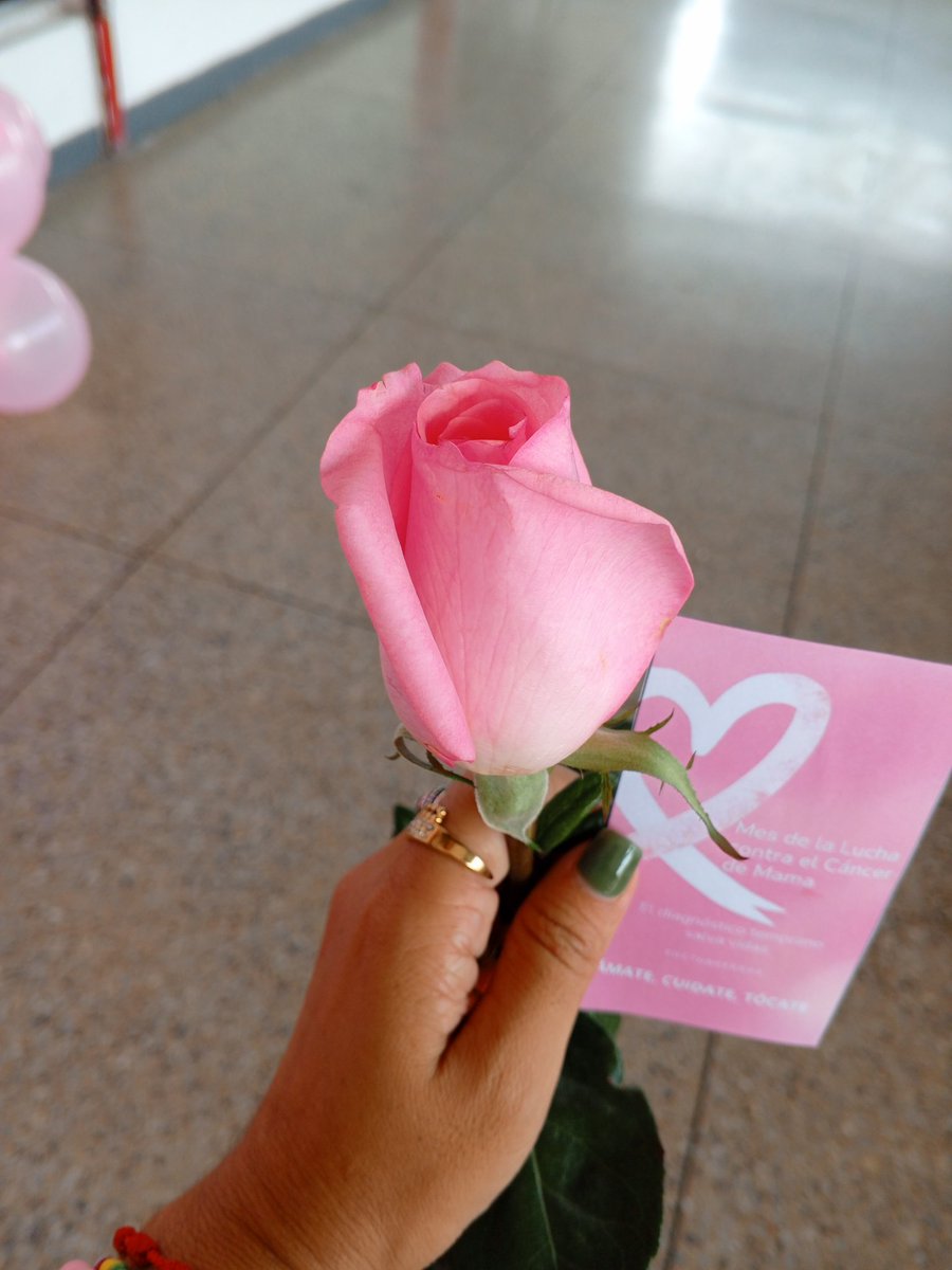 Un Octubre muy Rosa 🩷🎀😍