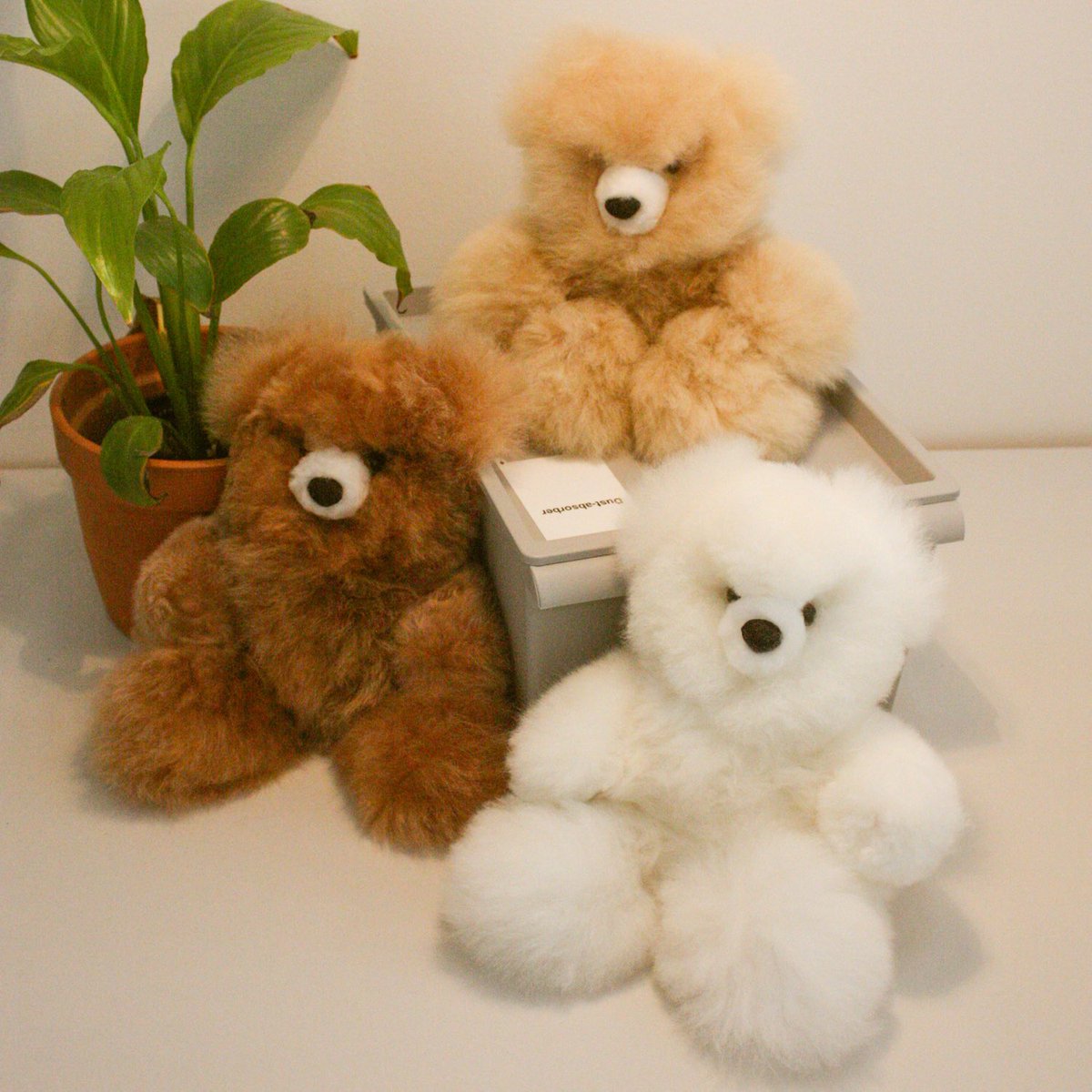 m 新品 Linociel テディベア ボアベスト アルパカ F ☆レザーベルト付☆【MaxMara】アルパカカシミア テディケープ (Max