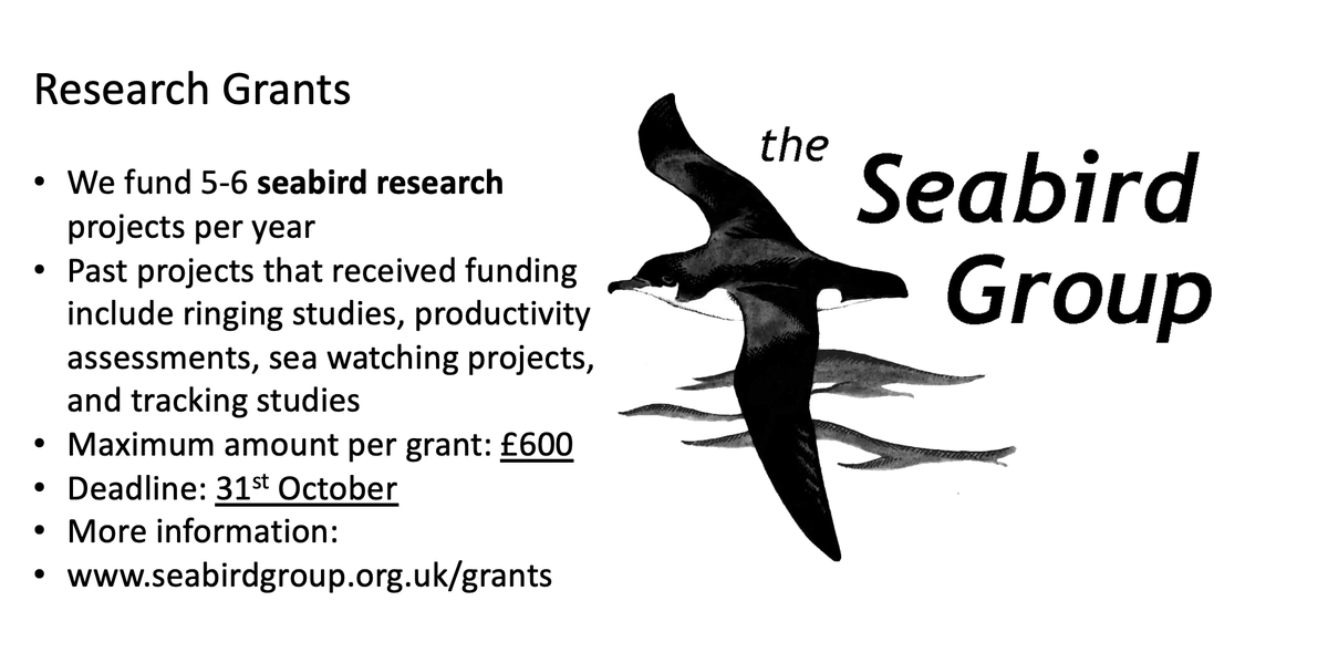 Don't forget to submit your research grant proposal🧪🪶

Another 10 days to go before the deadline 📅