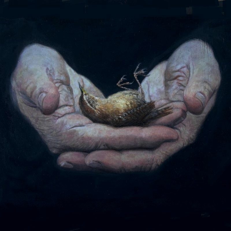 Pleased my little oil on panel Augury(Blakes Little Wren) will be shown at the Discerning Eye ehibition in London in November.'He who shall hurt the little wren Shall never be beloved by men'-'Auguries of Innocence' by #WilliamBlake -  #Ukraine #Myanmar #Sudan #Palestine soitgoes