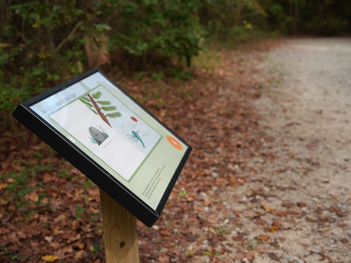 ClaytonLibrary's tweet image. New story alert! 🌳Head over to the StoryWalk®  at East Clayton Community Park for a delightful stroll. Enjoy some fresh air while immersing yourself in a wonderful tale!

#StoryWalk #EastClaytonPark #ReadingInNature #LibraryResources