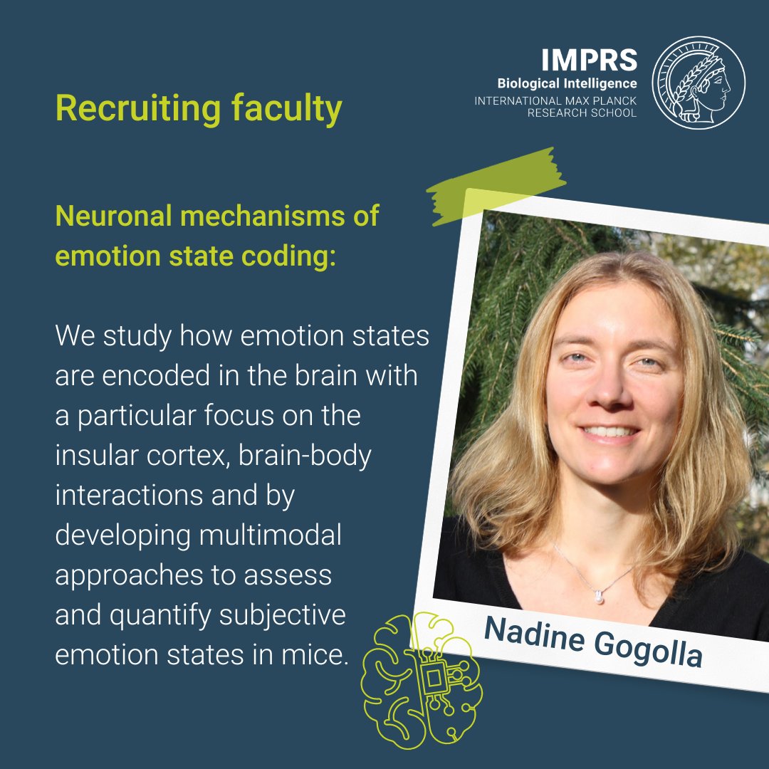 MPI for Biological Intelligence (@mpiforbi) on Twitter photo Meet the IMPRS-BI recruiting faculty: Nadine Gogolla <a href="/NadineGogolla/">Nadine Gogolla</a> and her group <a href="/mpi_psychiatry/">Max Planck Institute of Psychiatry</a> study how emotion states are encoded in the brain. Apply now for a PhD via our joint graduate school IMPRS-BI!
🔔 Application deadline: November 10
🌐 Apply here: Meet the IMPRS-BI recruiting faculty: Nadine Gogolla <a href="/NadineGogolla/">Nadine Gogolla</a> and her group <a href="/mpi_psychiatry/">Max Planck Institute of Psychiatry</a> study how emotion states are encoded in the brain. Apply now for a PhD via our joint graduate school IMPRS-BI!
🔔 Application deadline: November 10
🌐 Apply here: