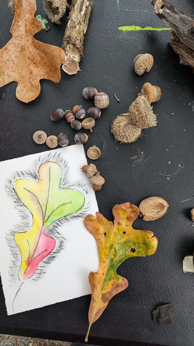 HCA_KC's tweet photo. Join us this Saturday, 10 AM - 12 PM at Heartland Overlook Preserve for family-friendly art &amp; nature fun! 🎨🌱 Enjoy guided hikes, art activities, and hands-on restoration with artist @julie_farstad and Native Lands Restoration Collaborative. Register: https://t.co/ToZzhoIxH8 https://t.co/5V72yKTRRi