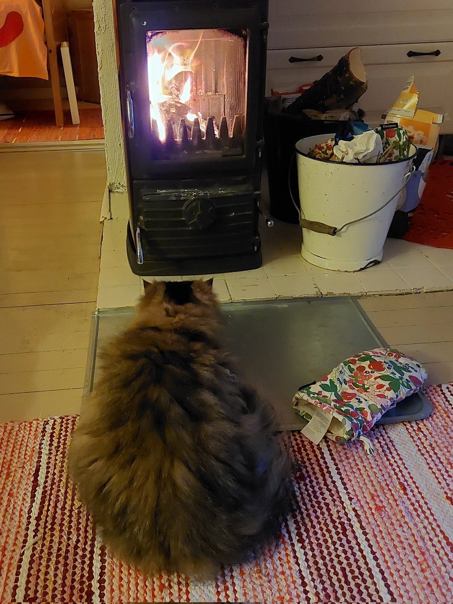 Samu Nyström tweet media