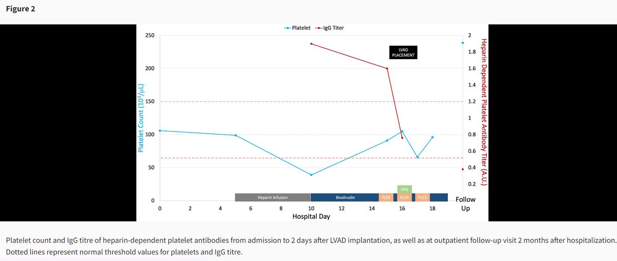European Society of Cardiology Journals (@esc_journals) on Twitter photo Heparin-induced thrombocytopaenia complicating cardiogenic shock requiring durable mechanical circulatory support bit.ly/4hgU1CF
#EHJCaseReports <a href="/Phiso_de/">Philipp Sommer</a> <a href="/TJ_Yeo/">Tee Joo YEO</a> <a href="/aayshacader/">Aaysha Cader</a> <a href="/BoldiKovacsMD/">Boldizsar Kovacs</a> <a href="/ANazmiCalik/">A.Nazmi Calik</a> <a href="/O_Azizy_MD/">Obayda Azizy</a> <a href="/saramoscatelli7/">Sara Moscatelli</a> <a href="/EHJCREiC/">EHJCaseReports Editor-in-Chief</a> #CardioX Heparin-induced thrombocytopaenia complicating cardiogenic shock requiring durable mechanical circulatory support bit.ly/4hgU1CF
#EHJCaseReports <a href="/Phiso_de/">Philipp Sommer</a> <a href="/TJ_Yeo/">Tee Joo YEO</a> <a href="/aayshacader/">Aaysha Cader</a> <a href="/BoldiKovacsMD/">Boldizsar Kovacs</a> <a href="/ANazmiCalik/">A.Nazmi Calik</a> <a href="/O_Azizy_MD/">Obayda Azizy</a> <a href="/saramoscatelli7/">Sara Moscatelli</a> <a href="/EHJCREiC/">EHJCaseReports Editor-in-Chief</a> #CardioX