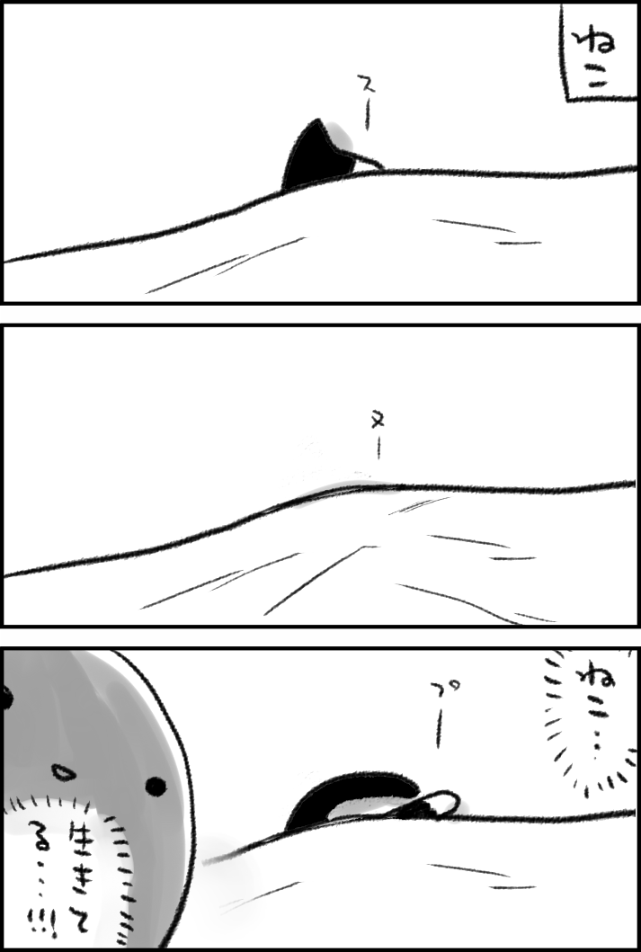 おふとんねこ 