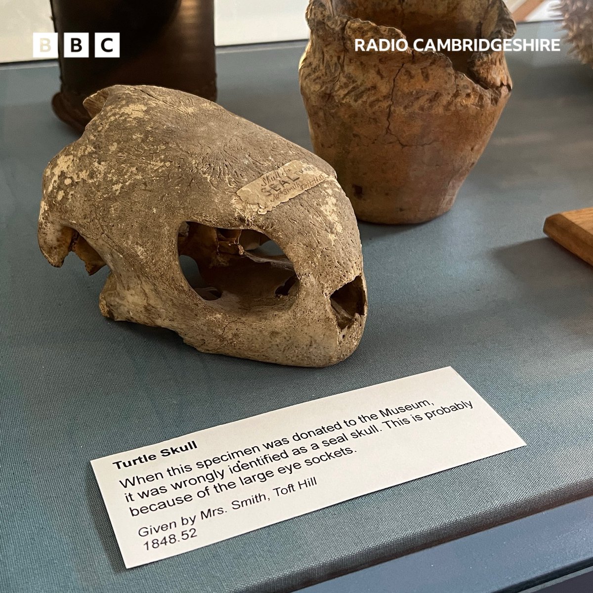 Tom Jackson (@tomjksn) on Twitter photo Some pictures from ‘The Odder the Better’ at <a href="/wisbechmuseum/">Wisbech Museum</a>
Everything from a ‘Fragment of a hole’ to tiny shoes made of chewed up bread are on display!
Listen back to the chats on <a href="/dottymcl/">Dotty McLeod</a>’s Breakfast Show on <a href="/BBCCambs/">BBC Cambridgeshire</a> 📻 Some pictures from ‘The Odder the Better’ at <a href="/wisbechmuseum/">Wisbech Museum</a>
Everything from a ‘Fragment of a hole’ to tiny shoes made of chewed up bread are on display!
Listen back to the chats on <a href="/dottymcl/">Dotty McLeod</a>’s Breakfast Show on <a href="/BBCCambs/">BBC Cambridgeshire</a> 📻