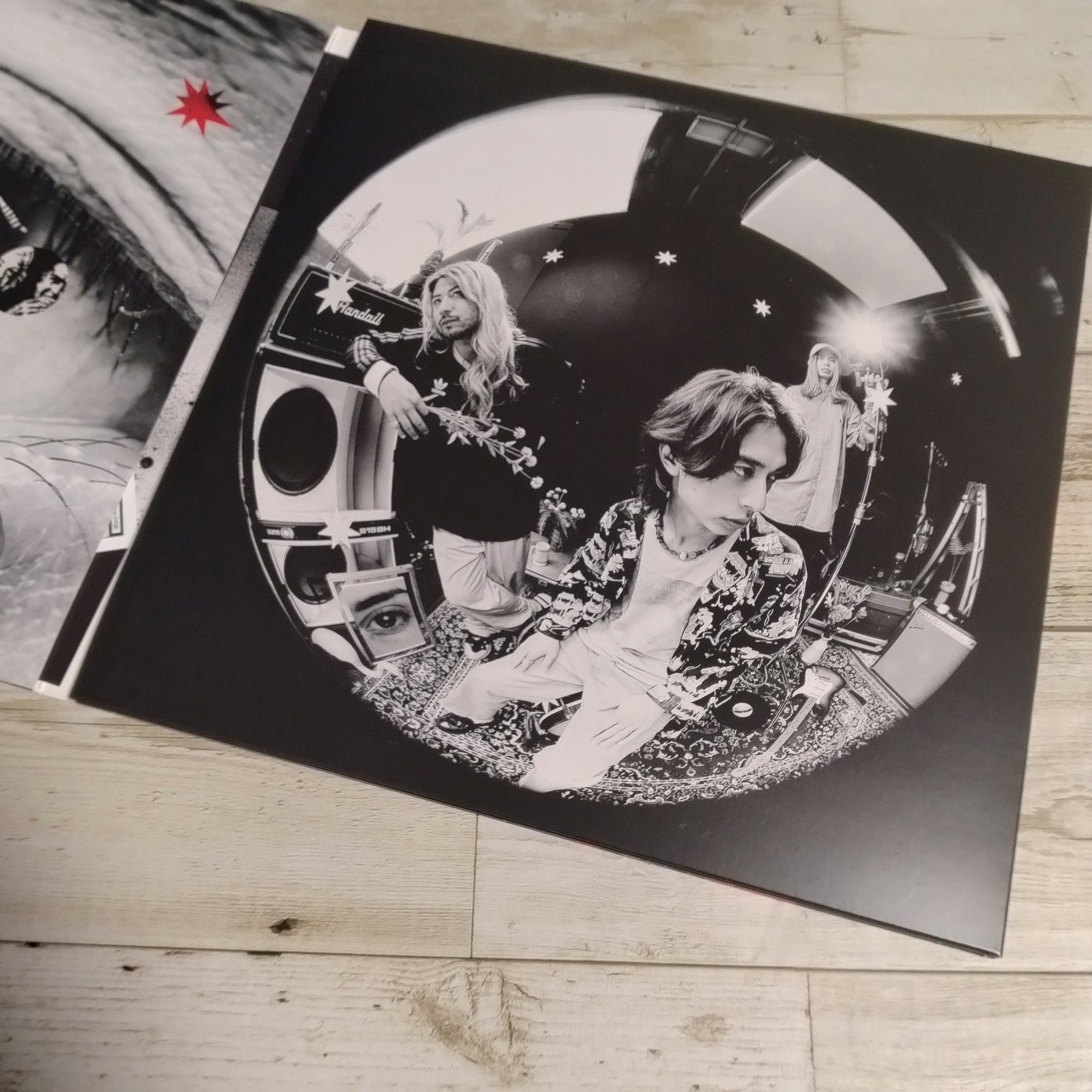 wꓸoꓸdꓸ - Search / X