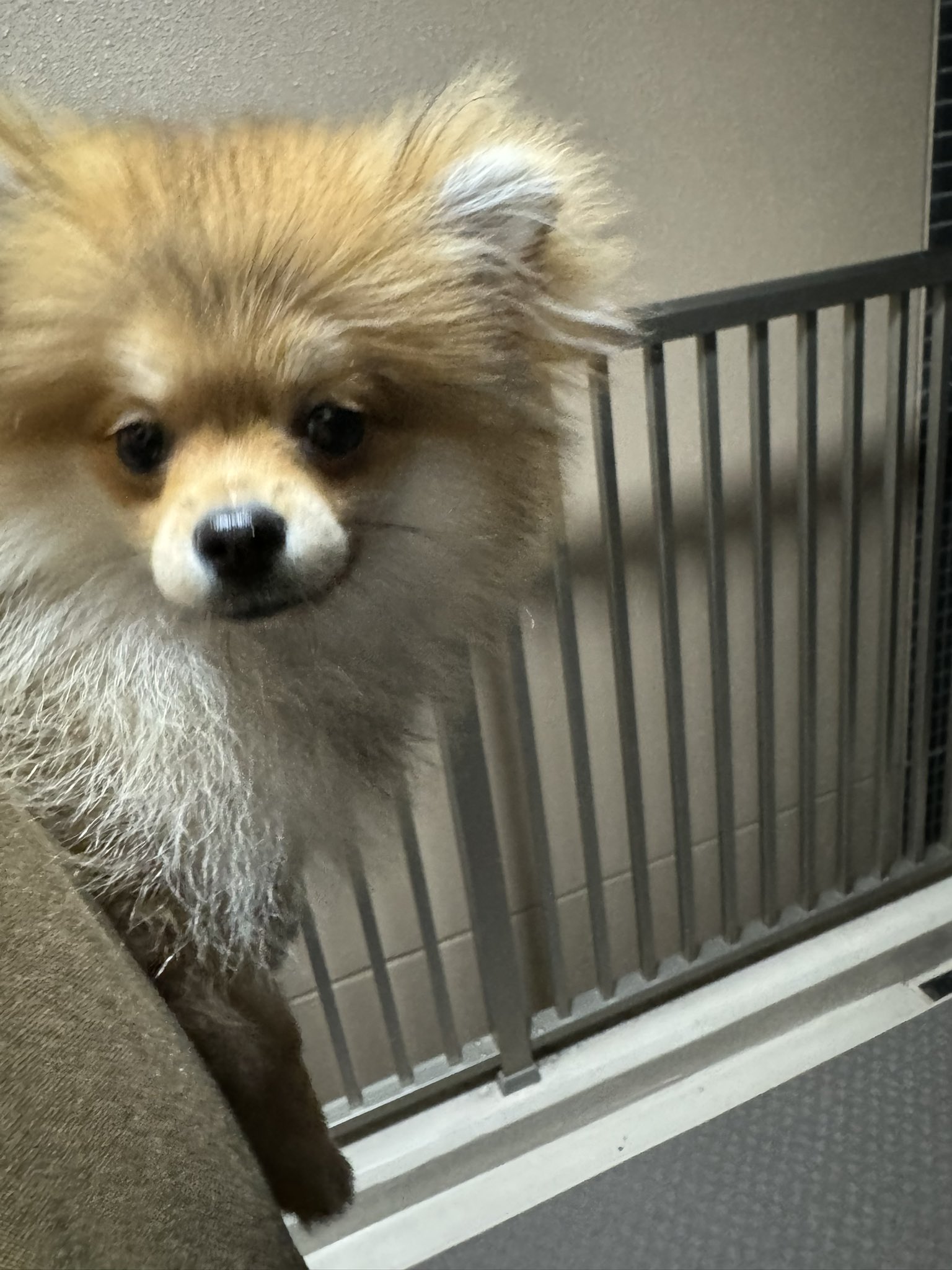 73日目 - البحث / X