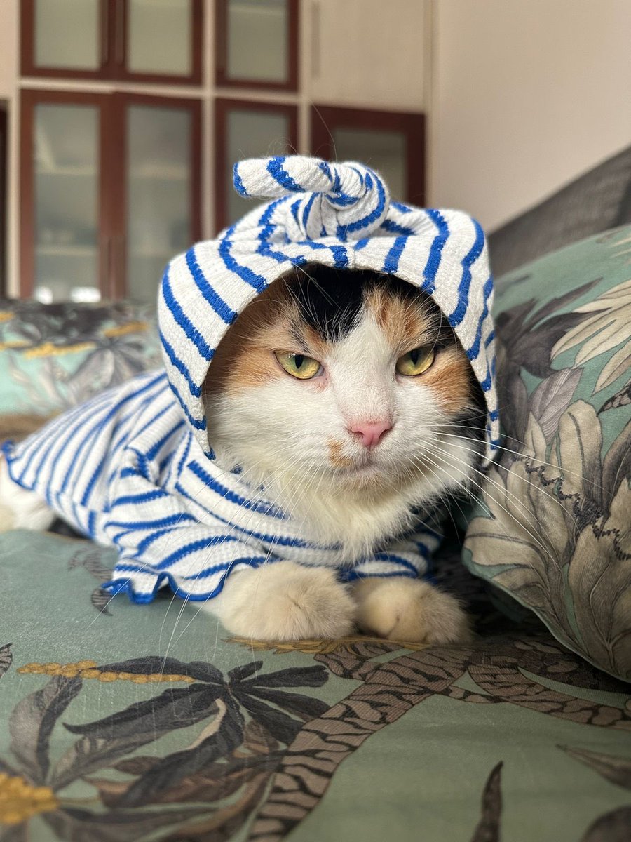 H+1 akmil ala VOC, mukanya sdh tidak enak