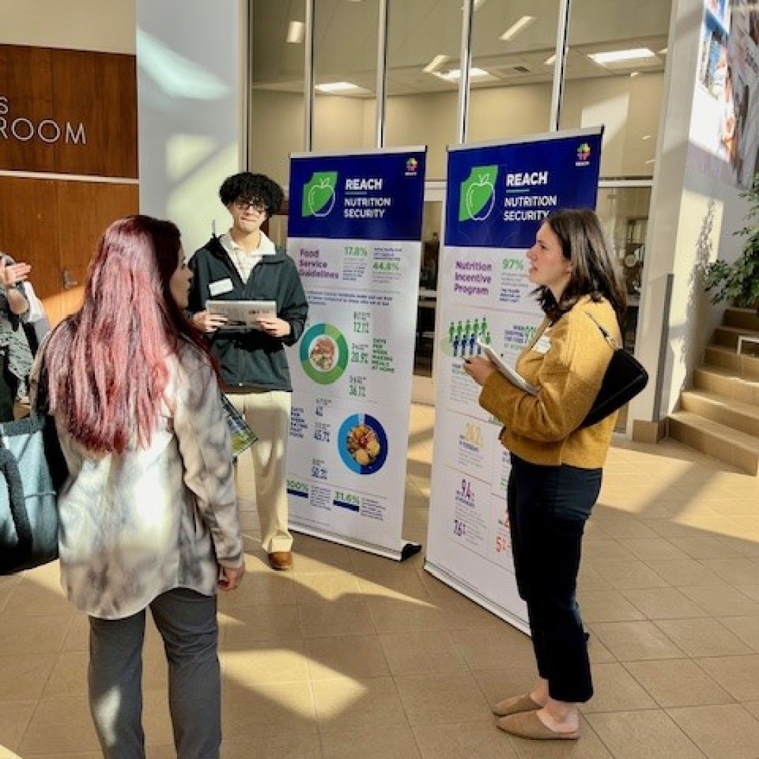 Hayman Studio tweet media