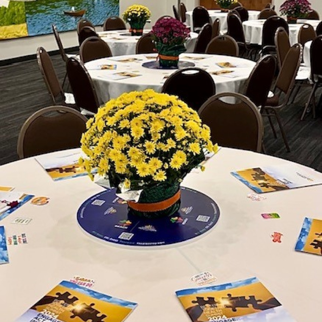 Hayman Studio tweet media