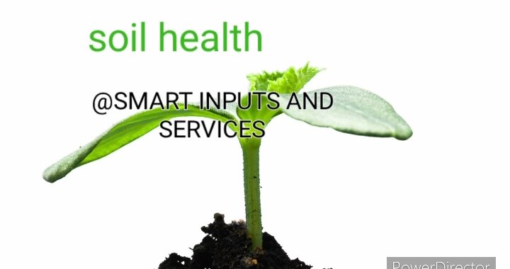 Whether you’re gardening at home or running a farm, investing in your soil's health pays off—literally! Healthy soil leads to healthier plants, which means better nutrition for you and your family.