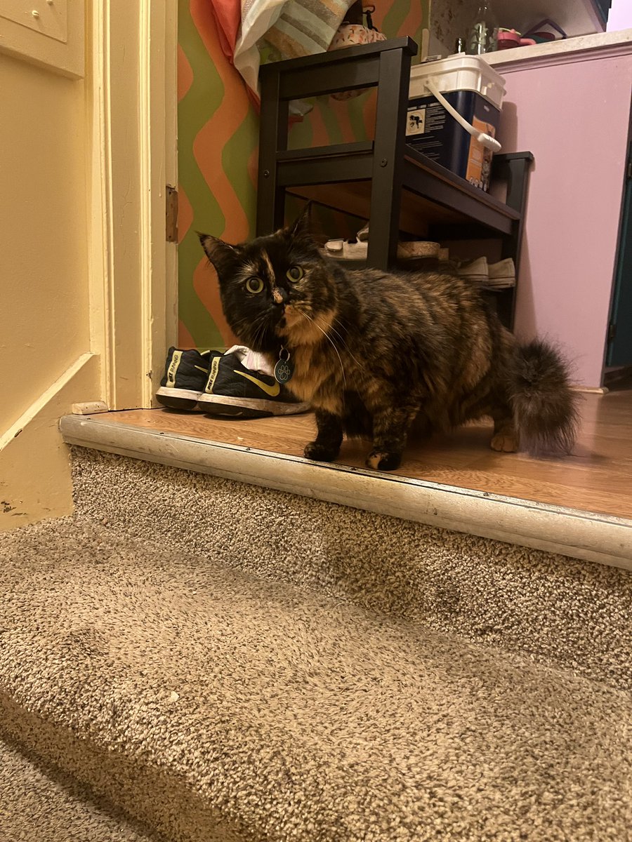 Destruction tweet media