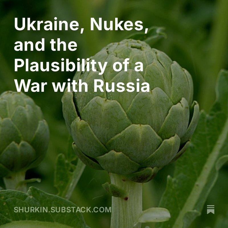 Michael Shurkin tweet media