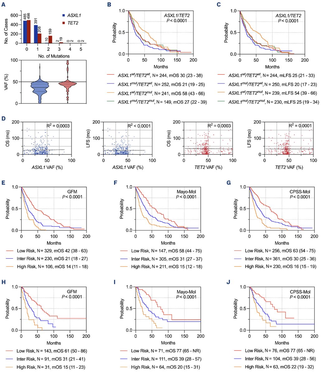 Clifford Csizmar (@ccsizmar) on Twitter photo Out now! Our work showing that ASXL1/TET2 co-mutation status enhances risk-stratification in CMML independent of VAF. Grateful to <a href="/MrinalPatnaik/">Mrinal Patnaik</a> for the mentorship and to <a href="/GMontalbanBravo/">Guillermo Montalban-Bravo</a> and <a href="/md_padron/">Eric Padron MD</a> for the collaboration! haematologica.org/article/view/h… Out now! Our work showing that ASXL1/TET2 co-mutation status enhances risk-stratification in CMML independent of VAF. Grateful to <a href="/MrinalPatnaik/">Mrinal Patnaik</a> for the mentorship and to <a href="/GMontalbanBravo/">Guillermo Montalban-Bravo</a> and <a href="/md_padron/">Eric Padron MD</a> for the collaboration! haematologica.org/article/view/h…