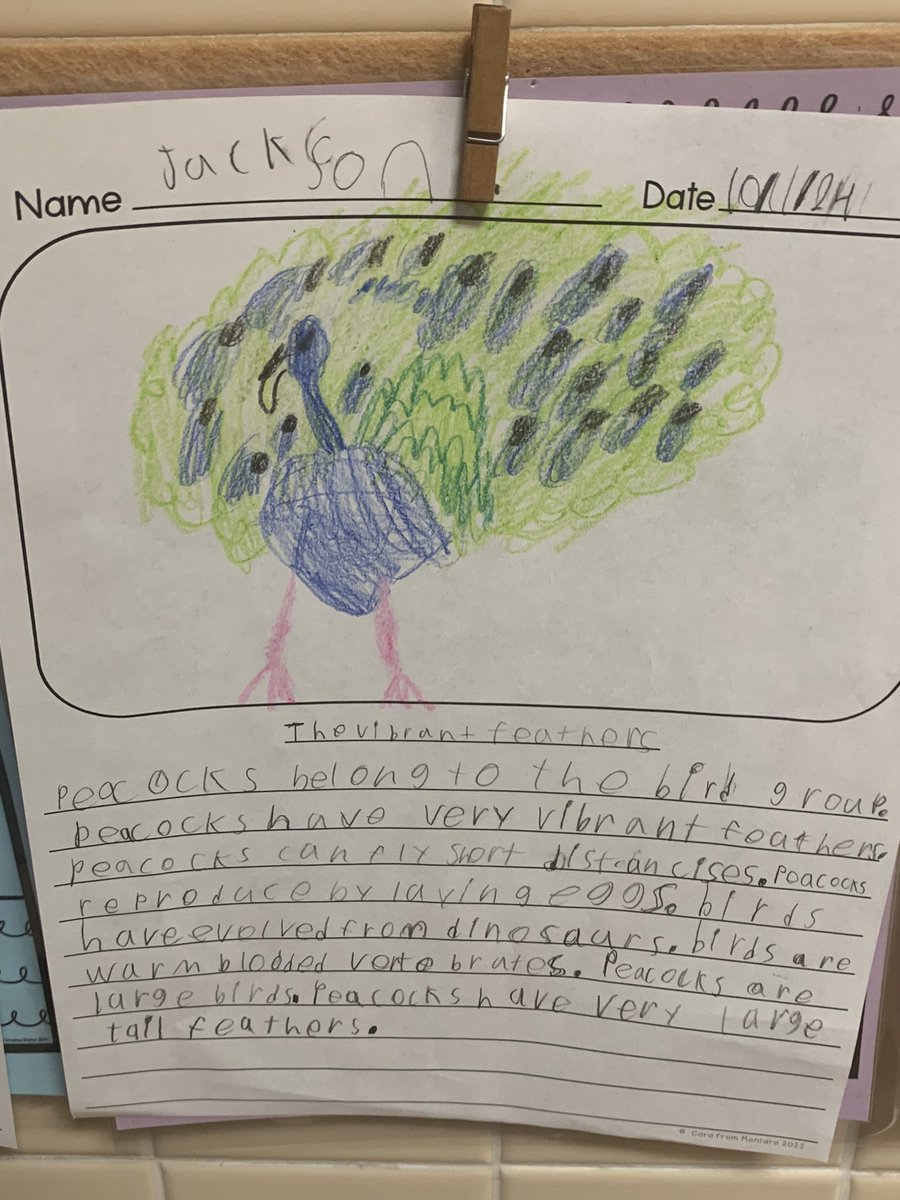 Learning all about vertebrates from my friends at <a href="/CVMonroeEagles/">Monroe Elementary</a> 🐍🦚