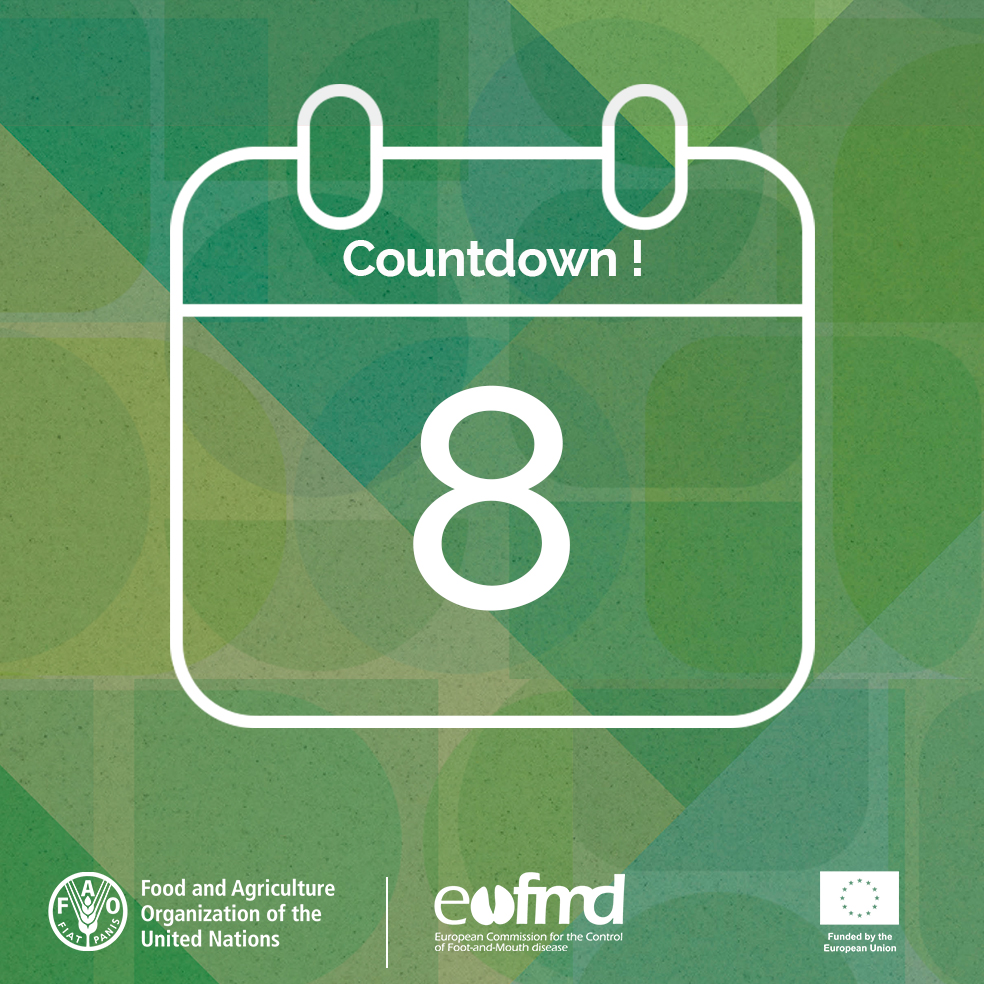 ⌛️#OS24⏳

The agenda for Day 3 is our joint session with @GFRA. Looking at the bigger questions at the intersection of FMD science and FMD policy-making. Why should #FMD be controlled? How to do so with improved diagnostics and novel #vaccines?

👉 trello.com/b/Dh06to0o/os2…