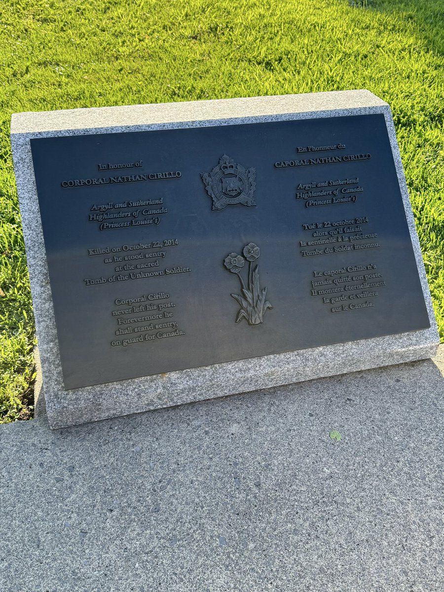 Mike Bechthold 🇨🇦 🇺🇦🌻 tweet media