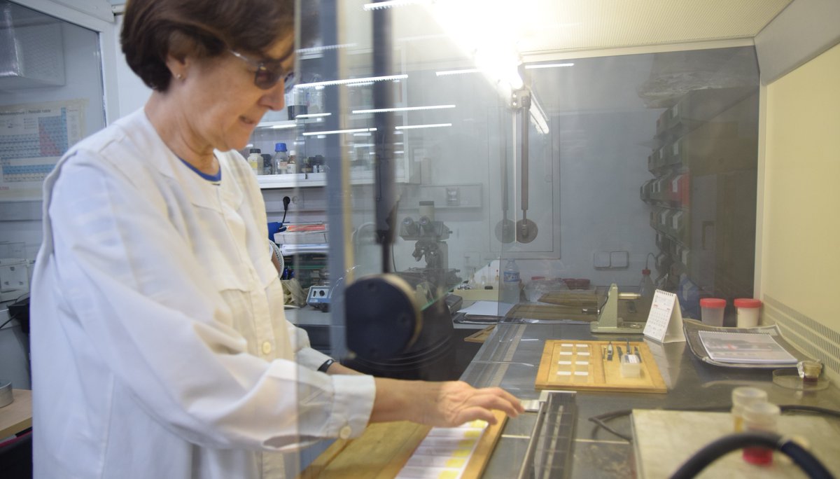 🏆Felicitamos a <a href="/StellaGrau/">Stella Moreno Grau</a> , profesora de nuestra Escuela de Ingeniería Industrial, 👩‍🎓🔬👩‍🔬por su ingreso en la Academia Iberoamericana de Farmacia como Académica de Honor. ¡Enhorabuena!