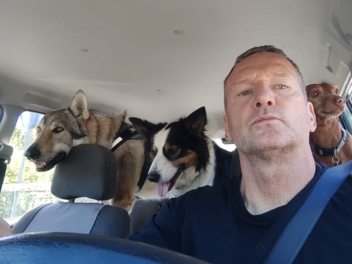 Simon Crafar tweet media