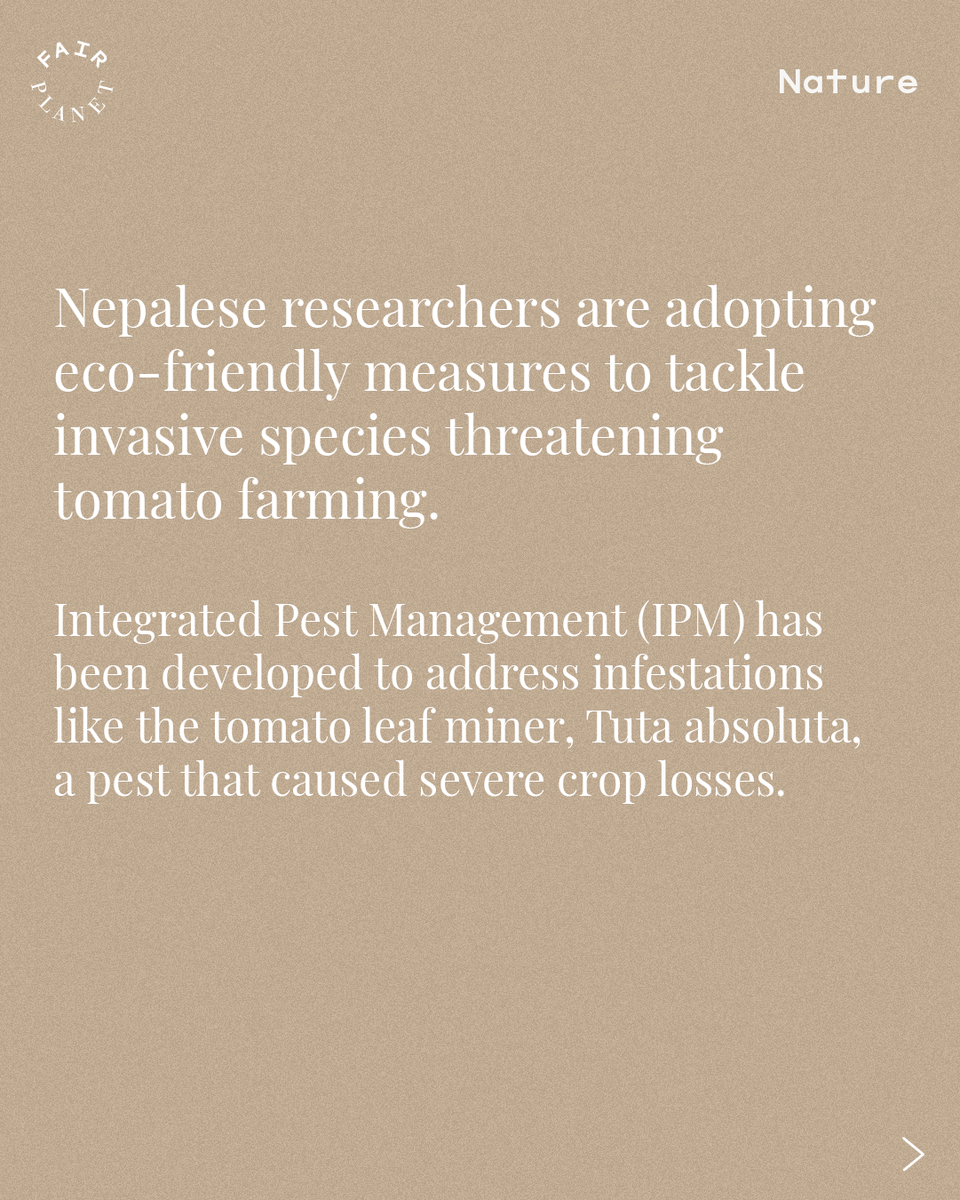 FairPlanet tweet media