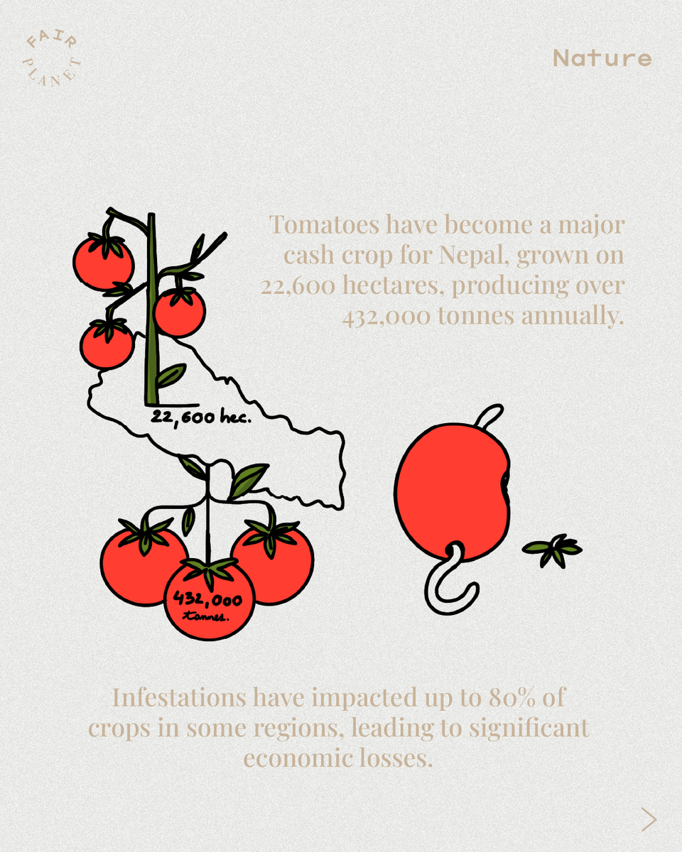 FairPlanet tweet media
