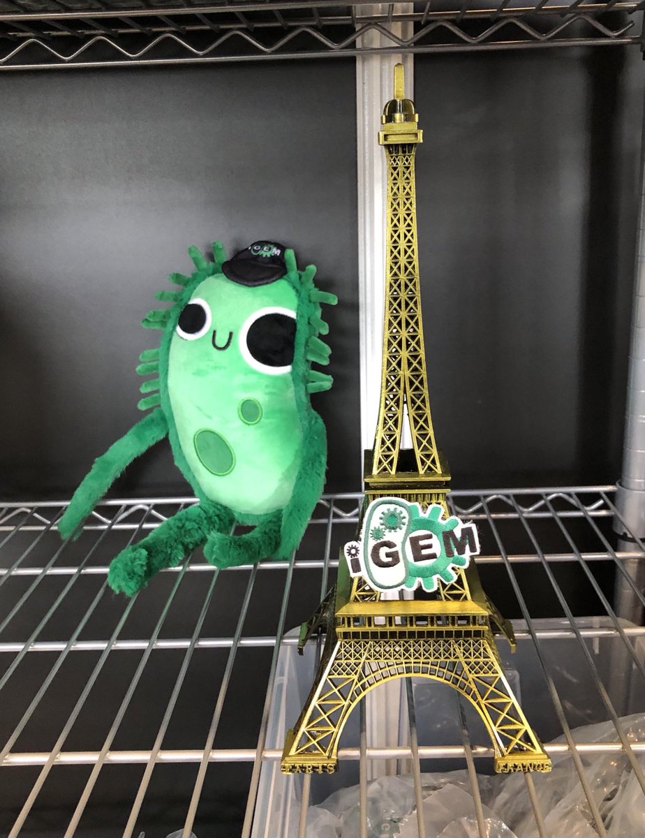 Peter A. Carr tweet media