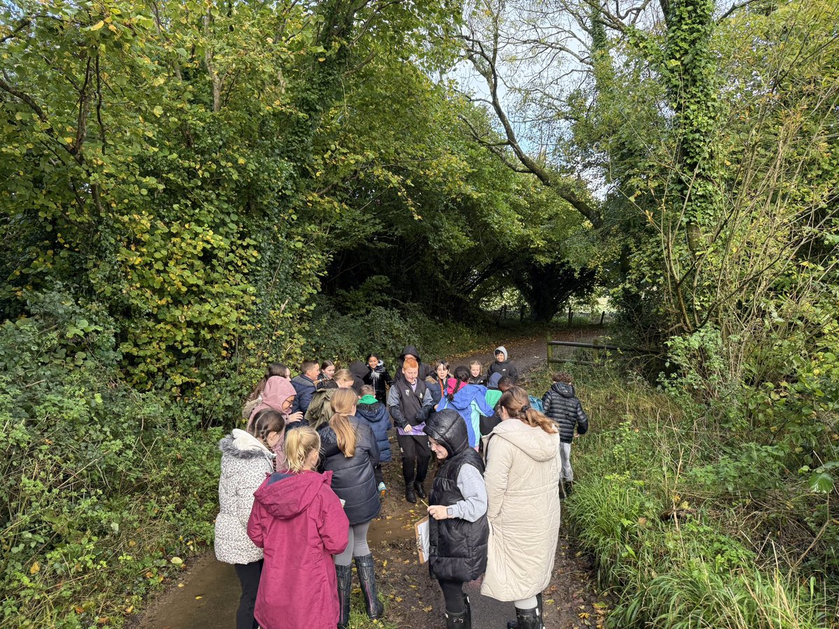 St Nicholas Primary tweet media