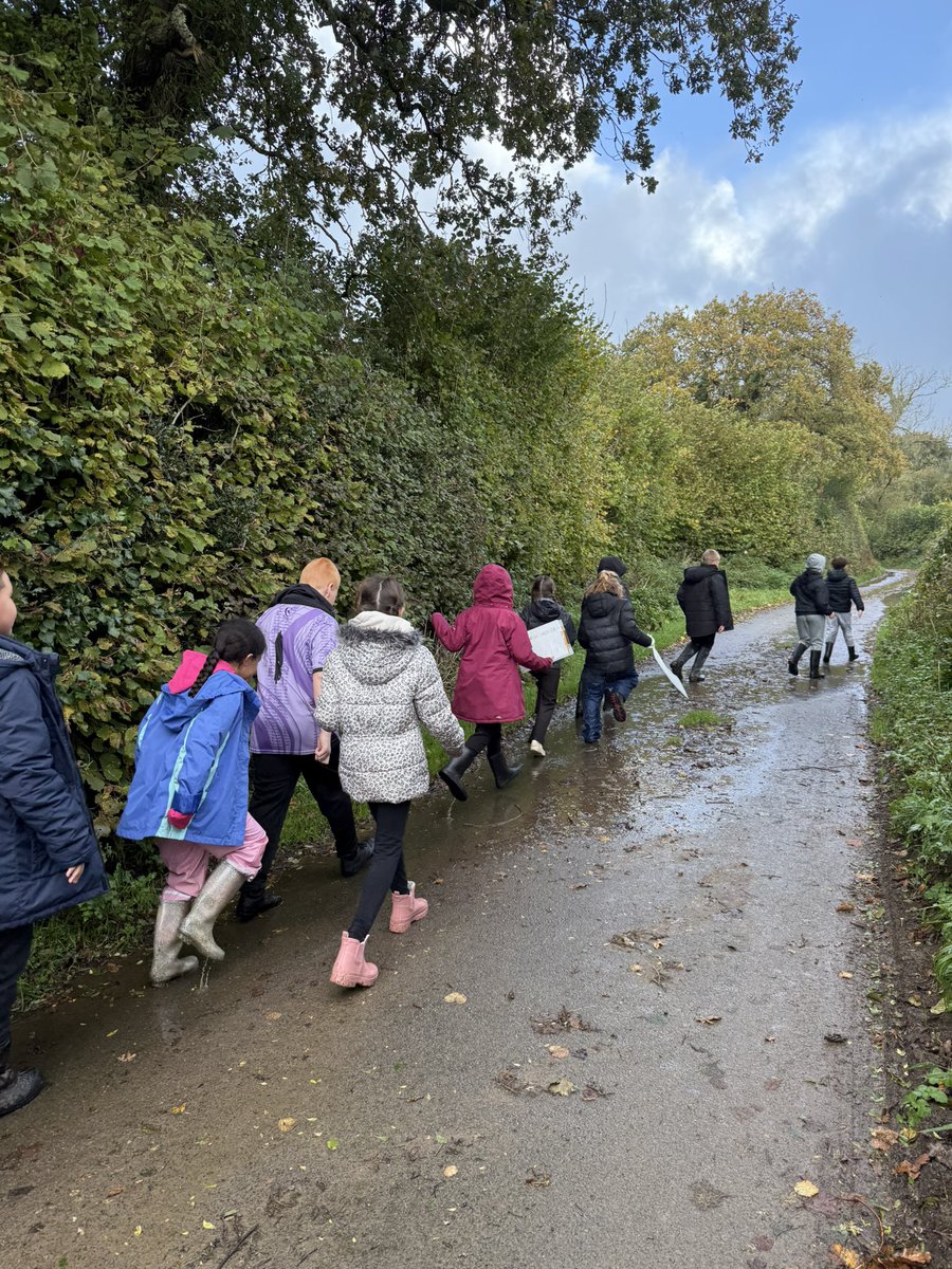 St Nicholas Primary tweet media