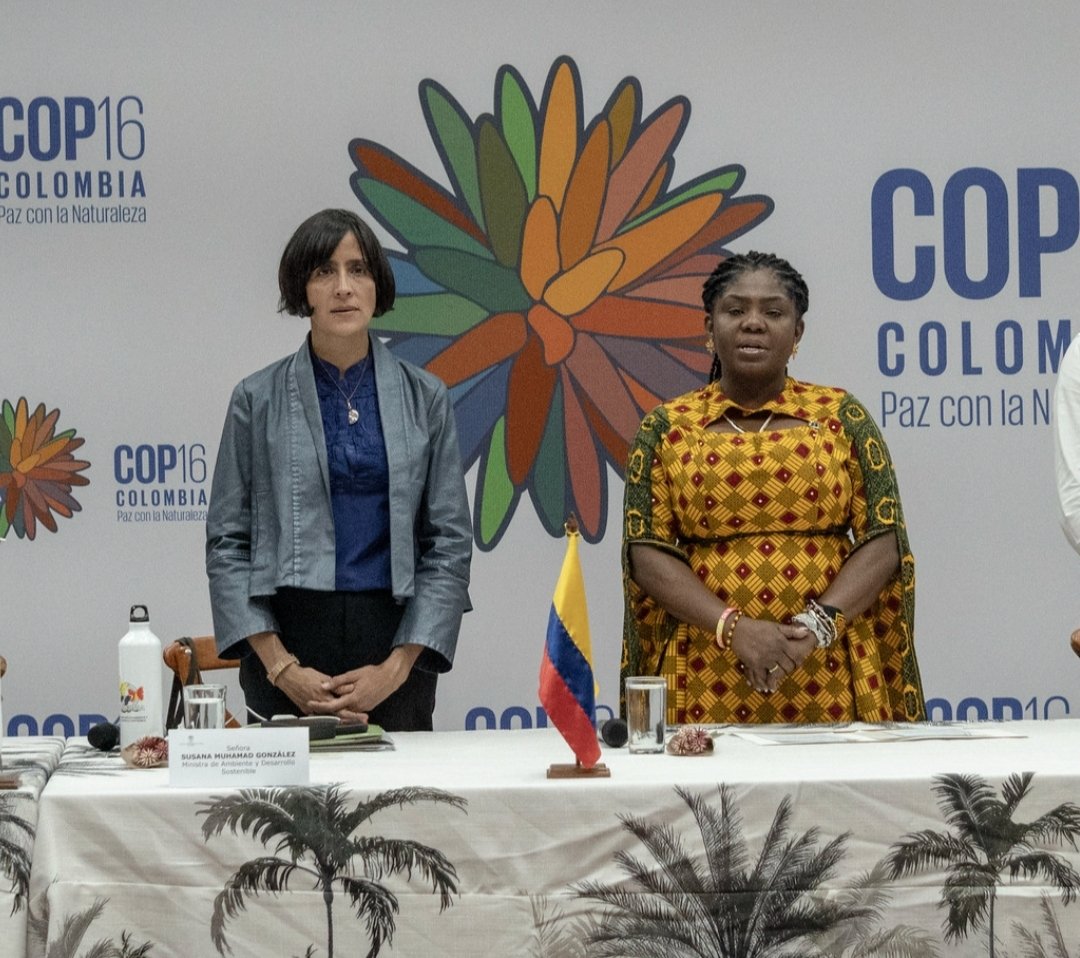 FAR〽️ER tweet media