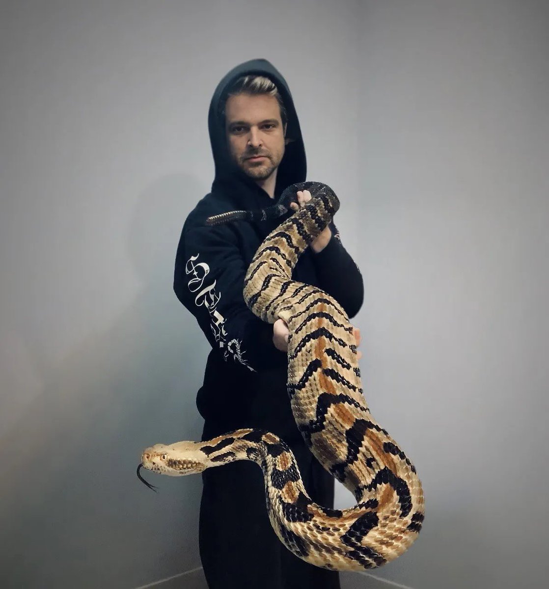 SnakesPlus's tweet image. Snake wisdom from @garysnakes: “The more dangerous the snake, the more fun to handle. Remember if things get sketchy &amp;amp; you’re panicking, you can always drop the snake &amp;amp; walk away. They don’t have serial numbers. Totally unmarked. But I didn’t tell you that. Don’t tweet that one.”
