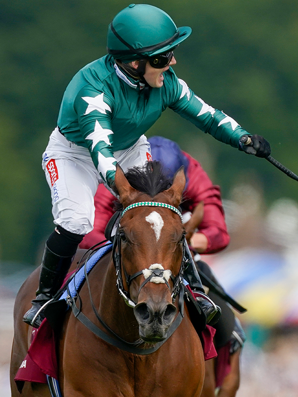 RacingPost's tweet photo. 💚 NASHWA 💚

1⃣8⃣ runs
5⃣ wins
🏆 Falmouth Stakes (Group 1)
🏆 Nassau Stakes (Group 1)
🏆 Prix de Diane (Group 1)

A mare of a lifetime. https://t.co/KK22eFOjQJ