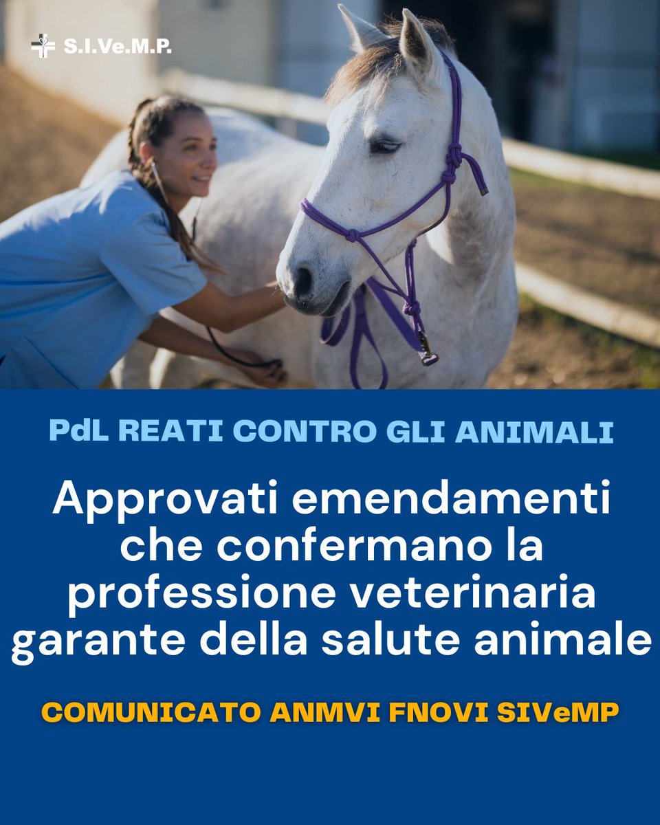 SIVeMP_Naz's tweet photo. ANMVI, FNOVI e SIVeMP: bene i correttivi alla pdl AC30, non si rafforza la tutela animale indebolendo la funzione veterinaria - https://t.co/FgPBL5plU2 https://t.co/45snEUAXDU