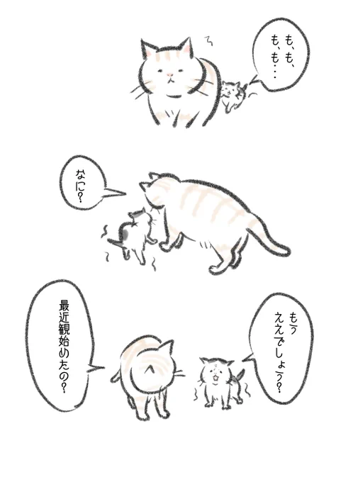 最近観始めました。 