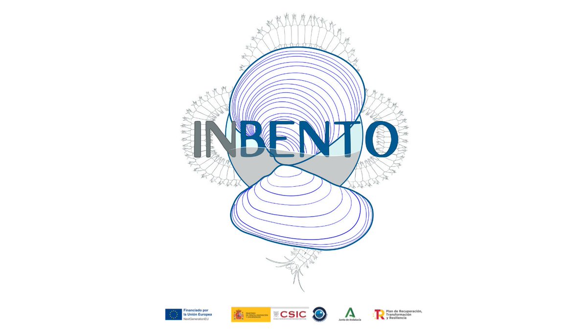 🦀#INBENTO | Tenemos logo 🙂 

Los bivalvos y poliquetos característicos de la zona intermareal e infralitoral sedimentaria del Golfo de Cádiz son los protagonistas de la imagen corporativa que ilustra desde hoy el proyecto.  

📷Obra de Víctor Acosta ↪️goo.su/wDjJ16C
