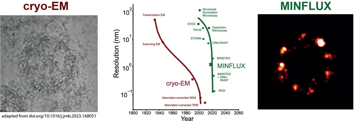 Lukas Scheiderer (@lukasscheiderer) on Twitter photo What's the crux of #MINFLUX?🔬 How does it achieve molecular resolution with few fluorescent photons?🤯 What has it achieved so far? What are strengths🦾 & limitations? Find out in our review (arxiv.org/abs/2410.15902) with <a href="/zacsimile/">Zach Marin</a> & <a href="/JonasRies/">Jonas Ries</a> at <a href="/MaxPerutzLabs/">Max Perutz Labs Vienna</a>. #cryoEM What's the crux of #MINFLUX?🔬 How does it achieve molecular resolution with few fluorescent photons?🤯 What has it achieved so far? What are strengths🦾 & limitations? Find out in our review (arxiv.org/abs/2410.15902) with <a href="/zacsimile/">Zach Marin</a> & <a href="/JonasRies/">Jonas Ries</a> at <a href="/MaxPerutzLabs/">Max Perutz Labs Vienna</a>. #cryoEM