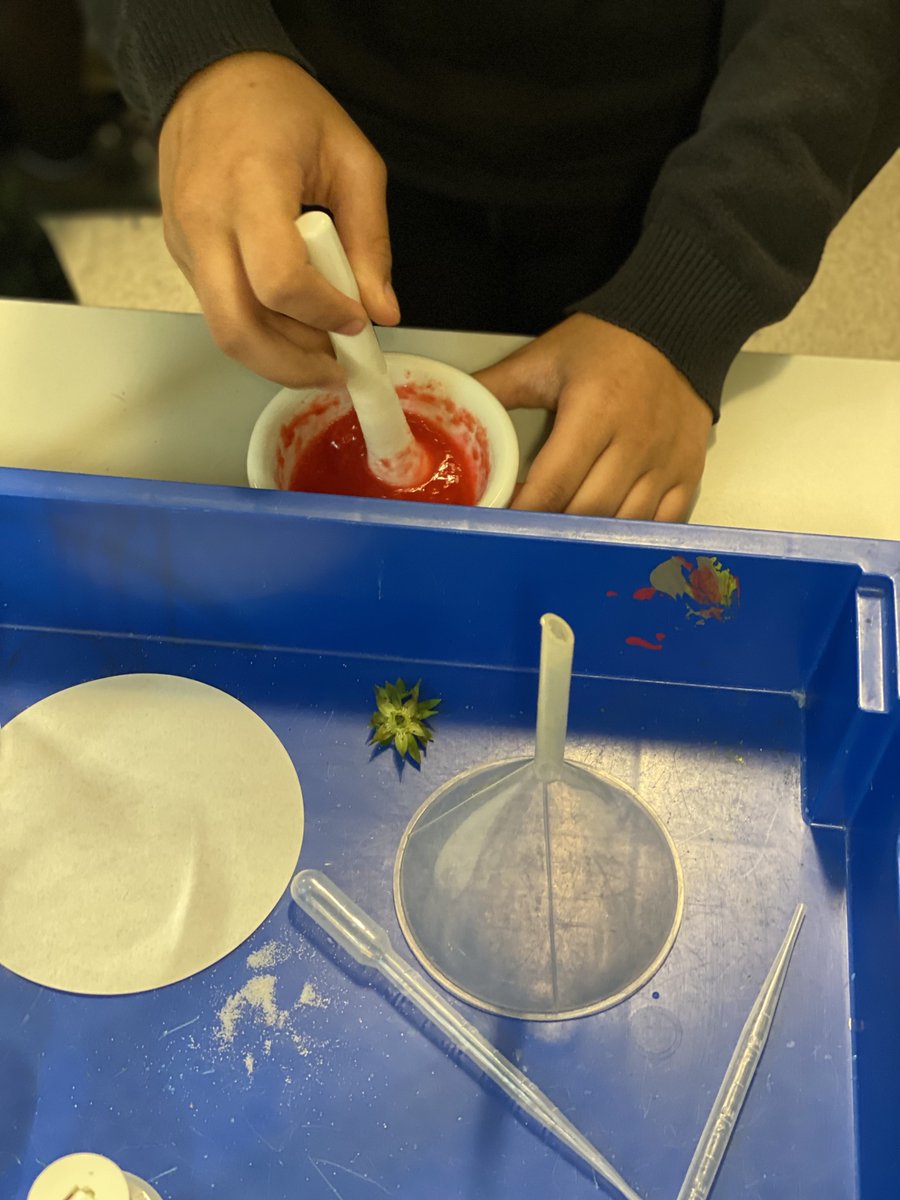 StAndrewTA tweet media