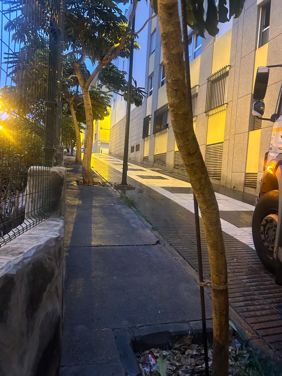 LimpiezaLPGC's tweet image. BALDEO
Trabajos  de #baldeo (manual y mecanizado) y limpieza con máquina #hidrolimpiadora (aceras y espacios ocupados por contenedores) en Plaza de los Bomberos.