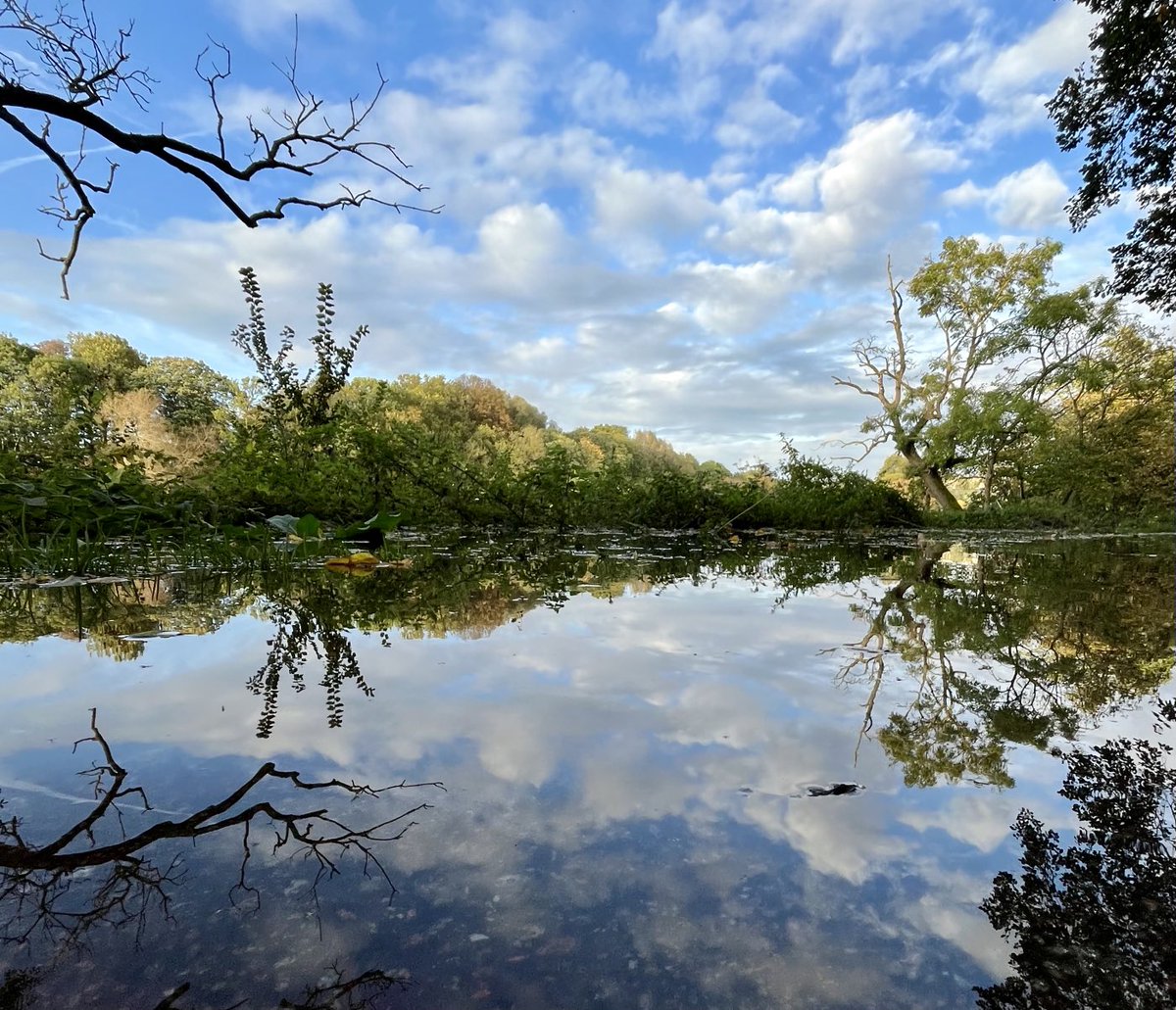 Jim Pickard 🐋 tweet media