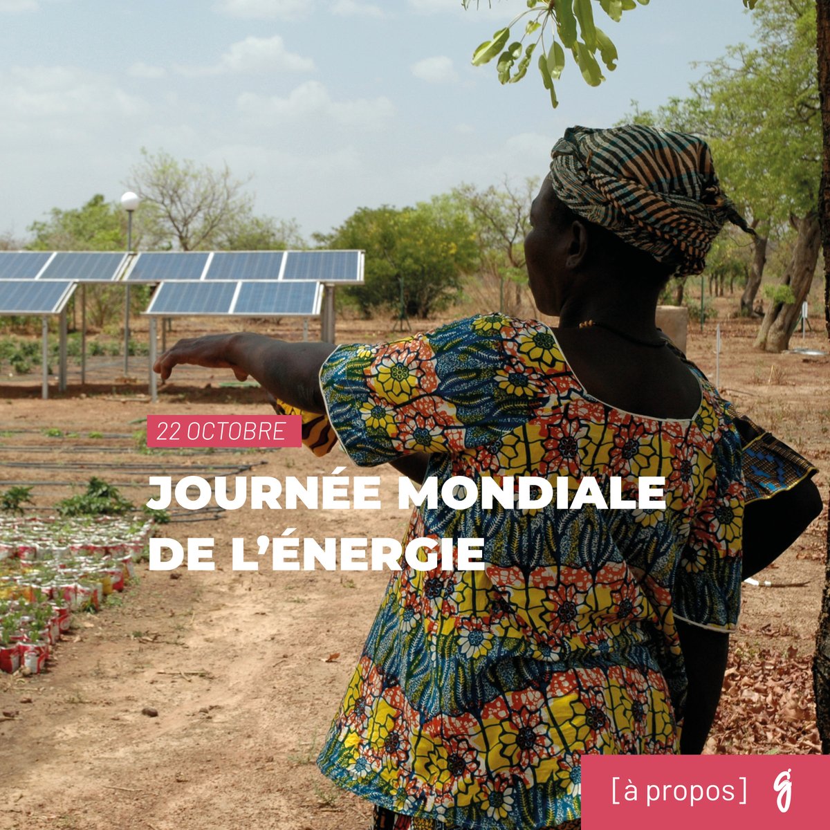 [à propos] Journée Mondiale de l’Énergie💡22/10/24. 

Nous agissons depuis 1976 pour favoriser le développement et l’accès à une #énergie juste, #durable et fiable afin de lutter contre la pauvreté et les dérèglements climatiques 🌍 

En savoir plus ⚡ ow.ly/nrCZ50TQv2O