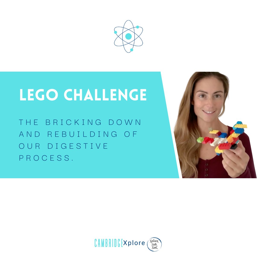 Cambridgexplore's tweet image. Build your way through digestion with LEGO! 💪 
Practice describing the process as you brick down and rebuild that will help ace science questions at school.
Revise diet and digestion with KS3 to GCSE questions and model answers.
#STEMFun #LEGOScience #creativeeducation